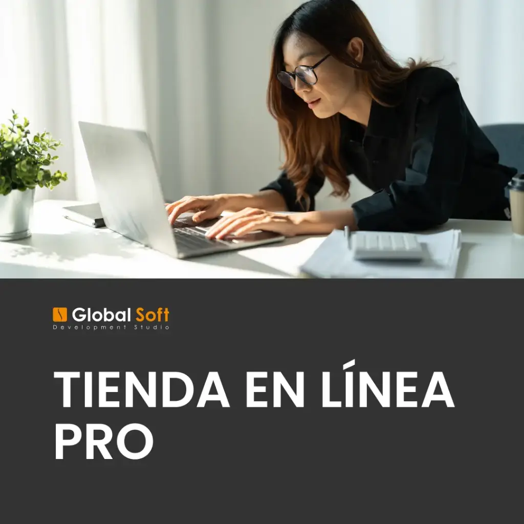 Tienda en línea Pro | Alto volumen de productos