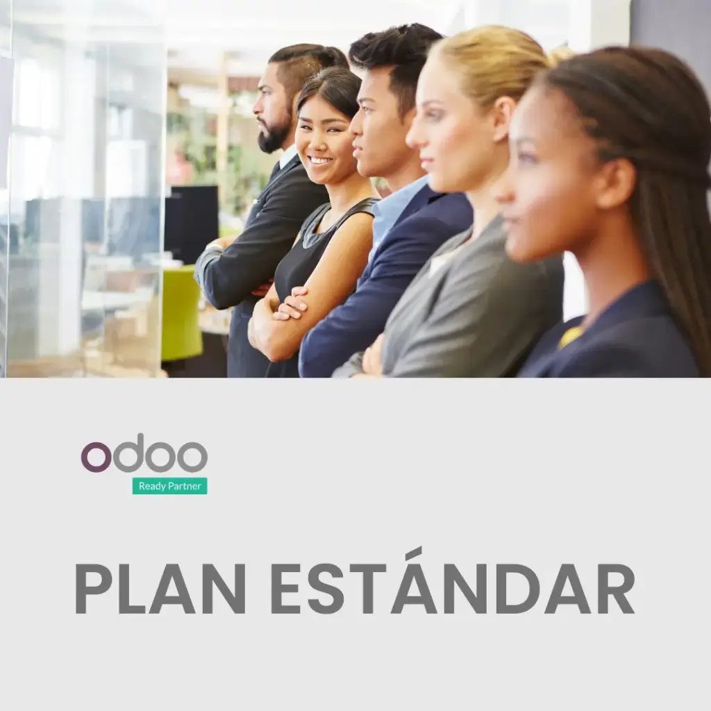 Odoo - Estándar | Para Pymes que buscan adaptar su operación a ODOO