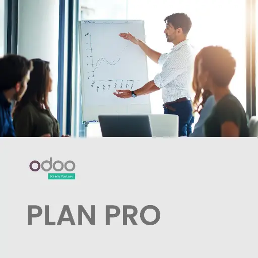 [ODOO] Odoo - Pro | Medium-sized companies looking to adapt their processes to Odoo